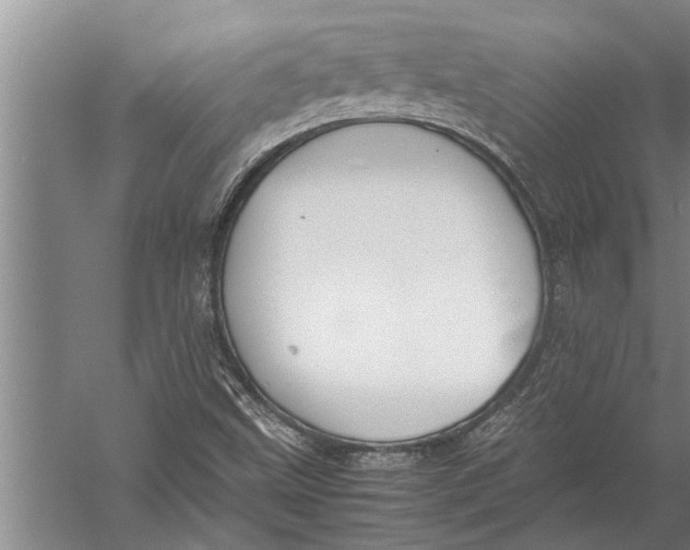 X0000057061499200510010053