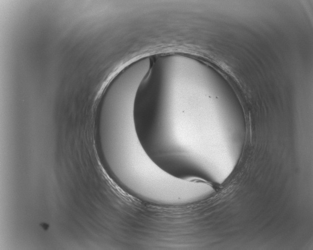 X0000057061500200510010053