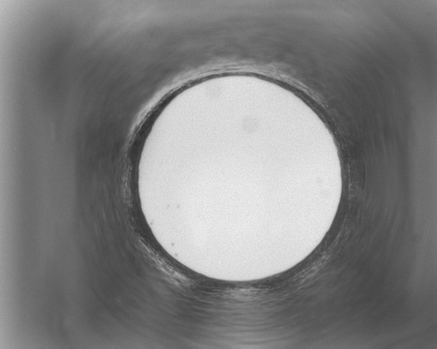 X0000057061502200510010053