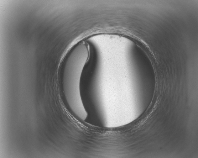 X0000057061506200510010054