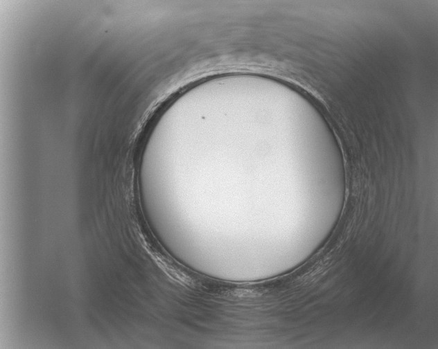 X0000057061507200510010054