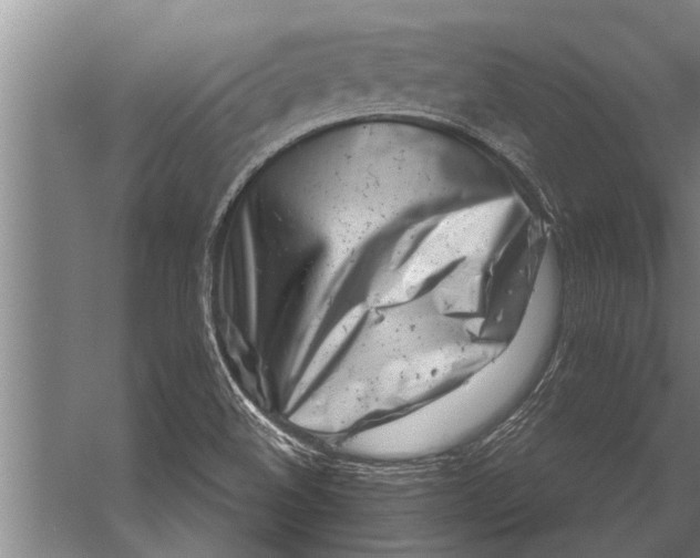 X0000057061508200510010054