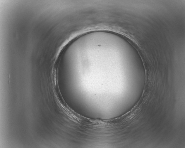 X0000057061510200510010054