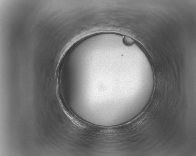 X0000057061511200510010054