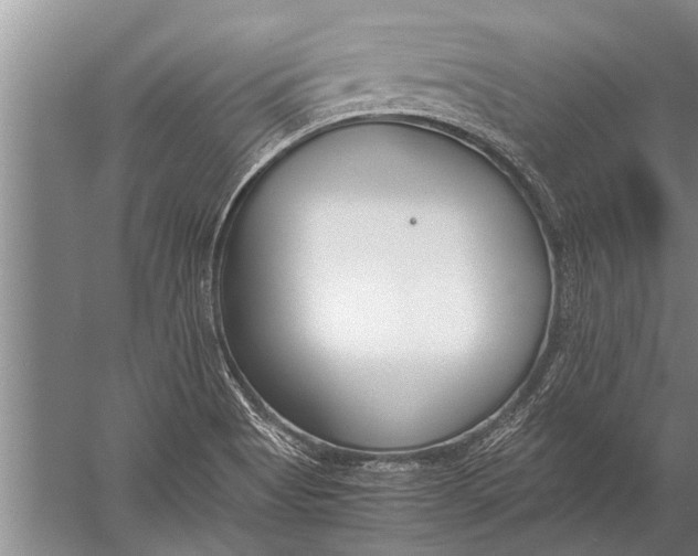 X0000057061513200510010054