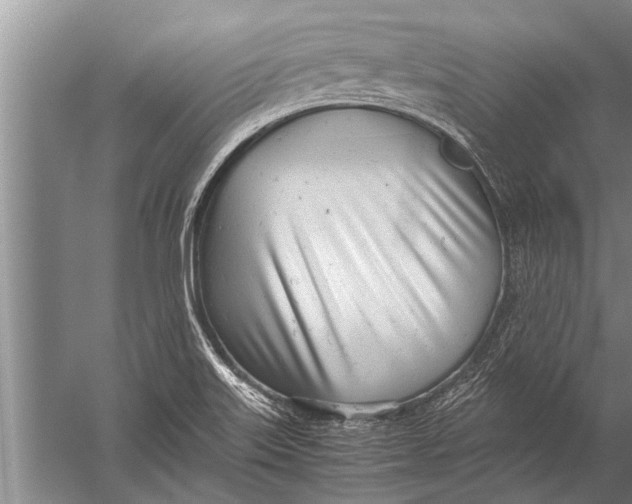 X0000057061515200510010054