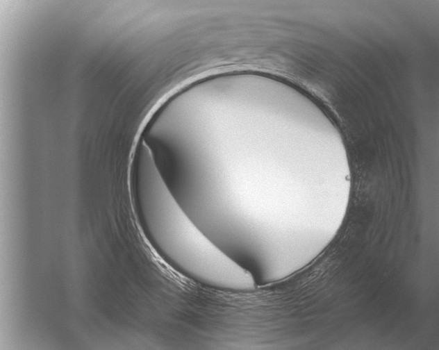 X0000057061516200510010054