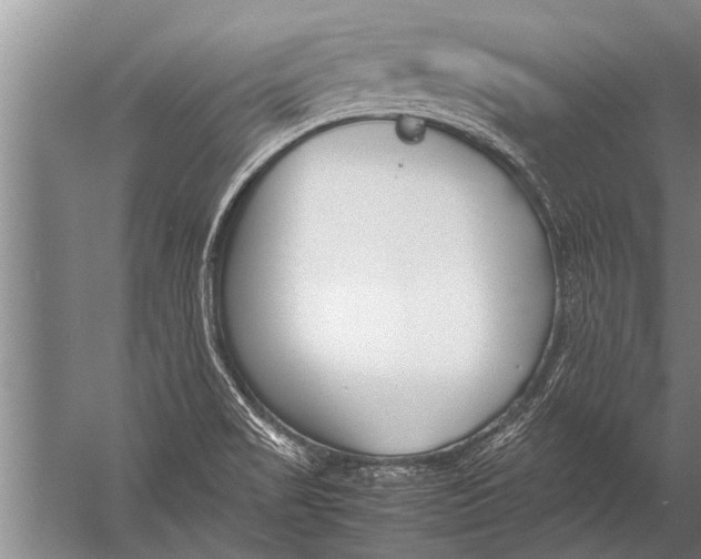 X0000057061517200510010054