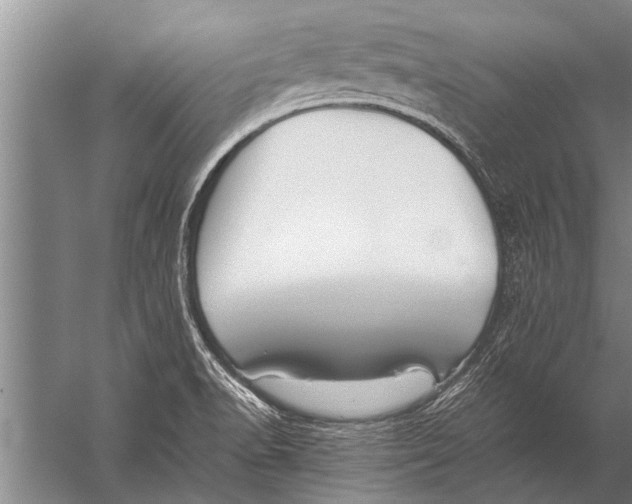 X0000057061518200510010054