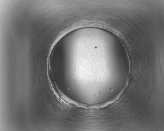 X0000057061520200510010054