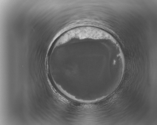 X0000057061522200510010054