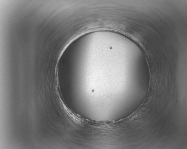 X0000057061524200510010054