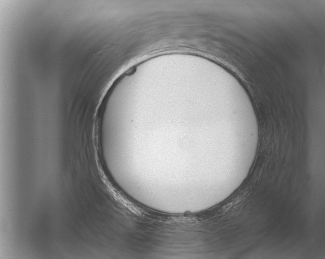 X0000057061526200510010054