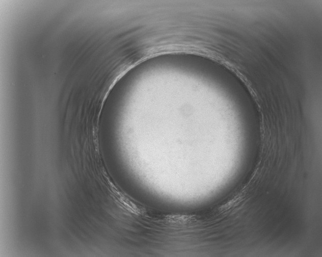 X0000057061529200510010054