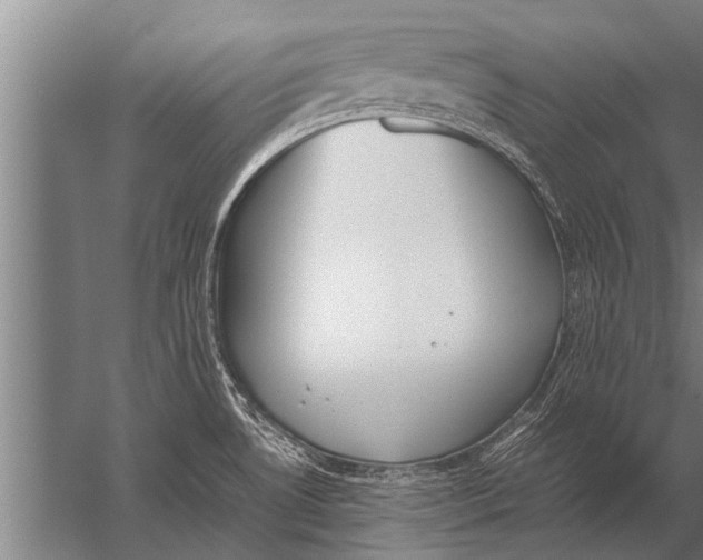 X0000057061530200510010054