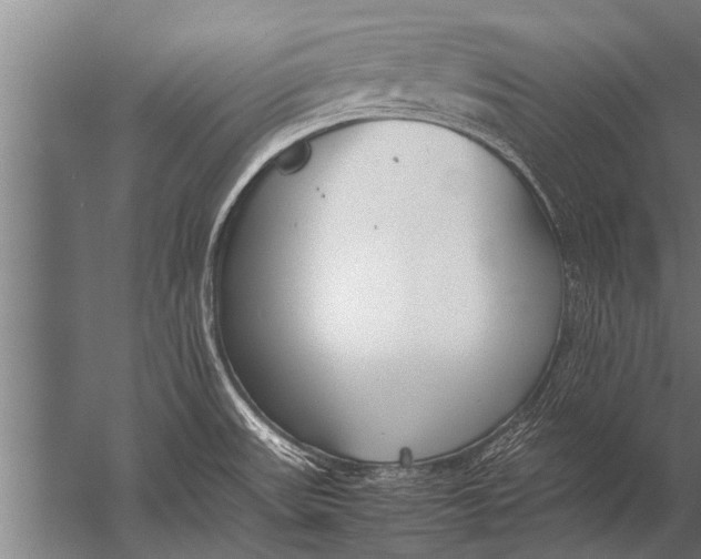 X0000057061531200510010054