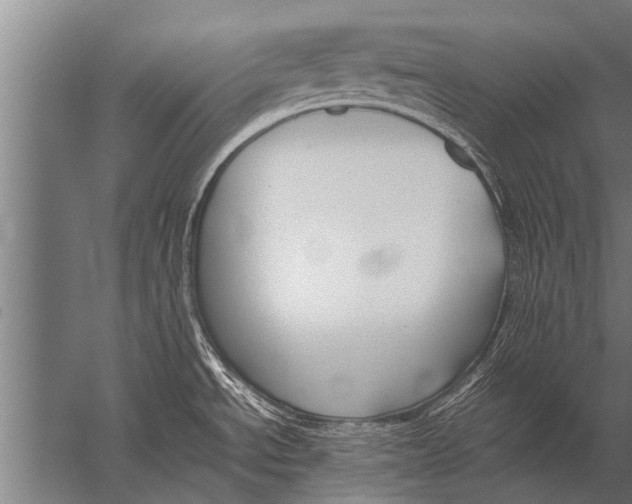 X0000057061534200510010054