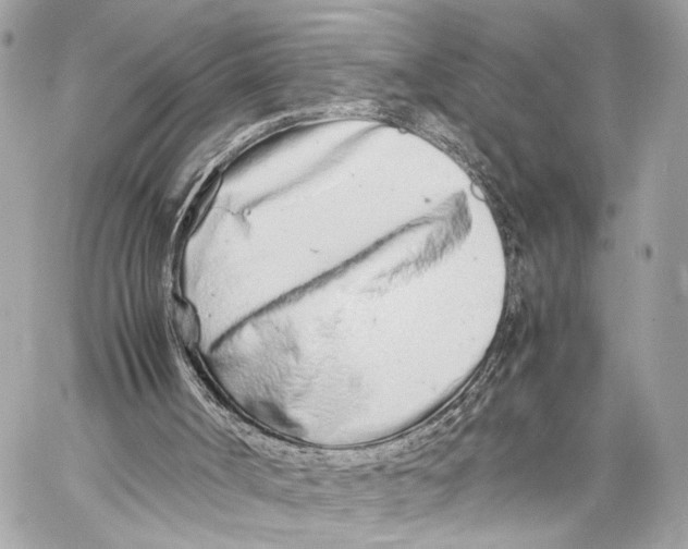 X0000057060002200510071418