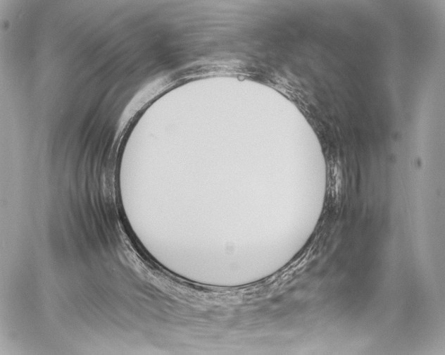 X0000057060004200510071418