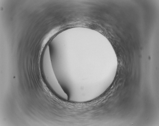 X0000057060006200510071418