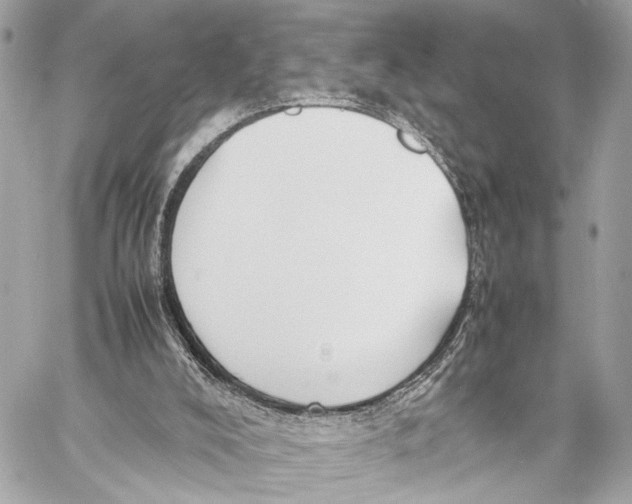 X0000057060008200510071418