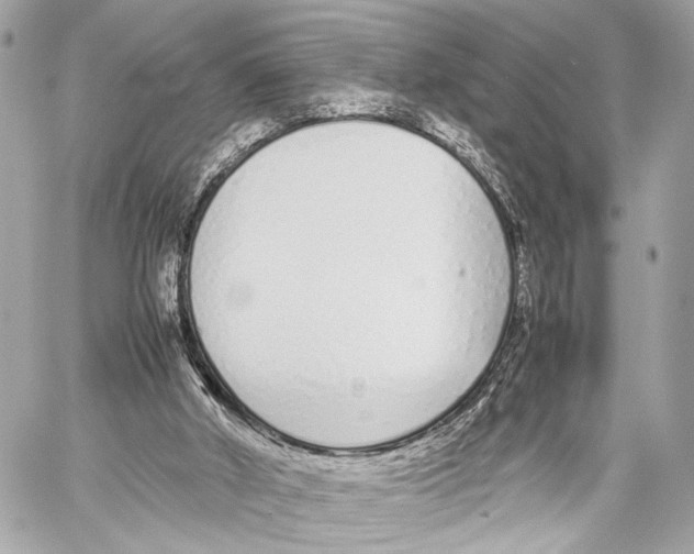 X0000057060010200510071418