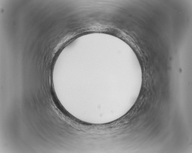 X0000057060011200510071418