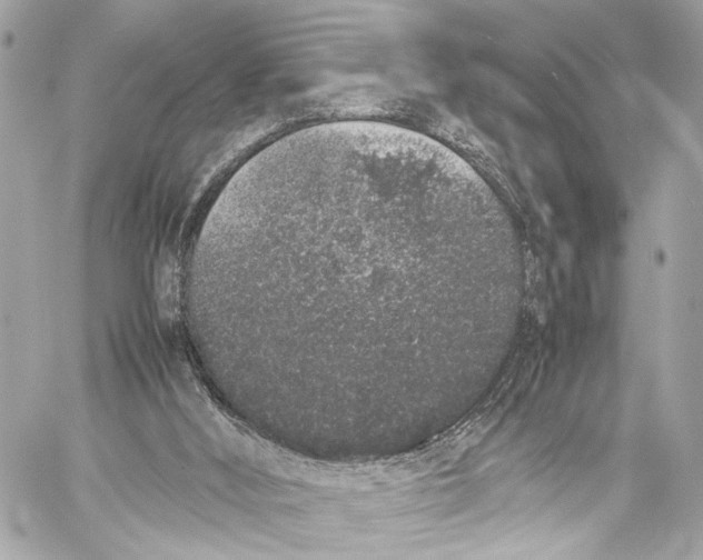 X0000057060012200510071418