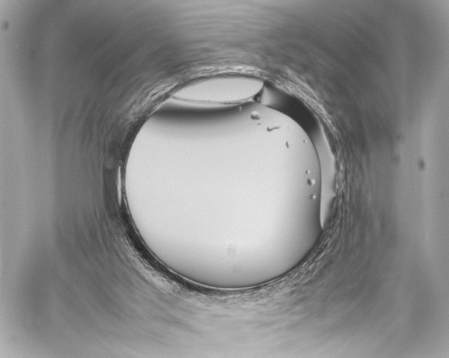 X0000057060013200510071418