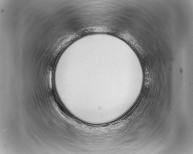 X0000057060014200510071418