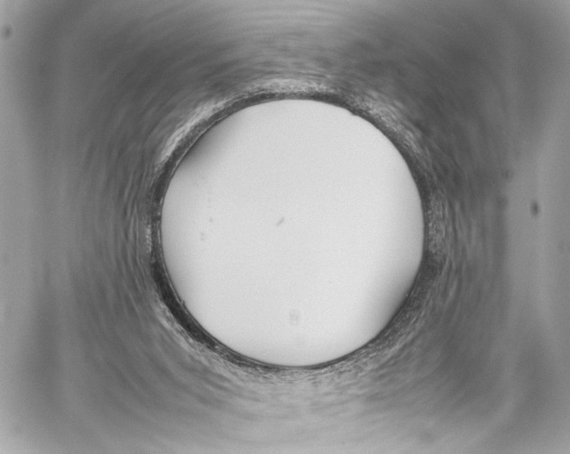 X0000057060015200510071418