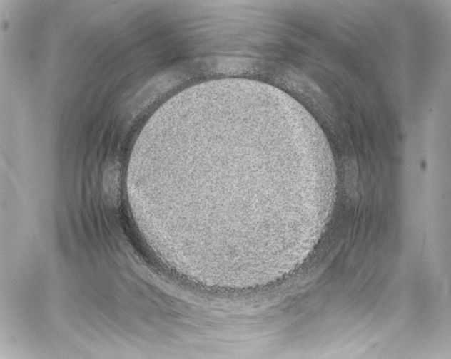 X0000057060016200510071418