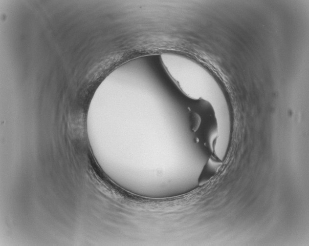 X0000057060017200510071418