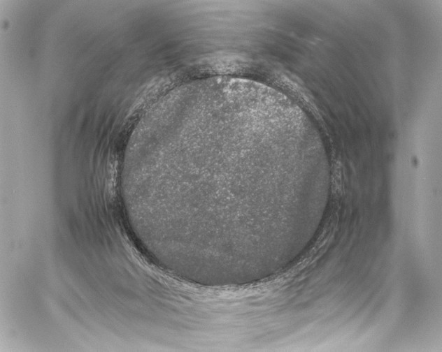 X0000057060018200510071418