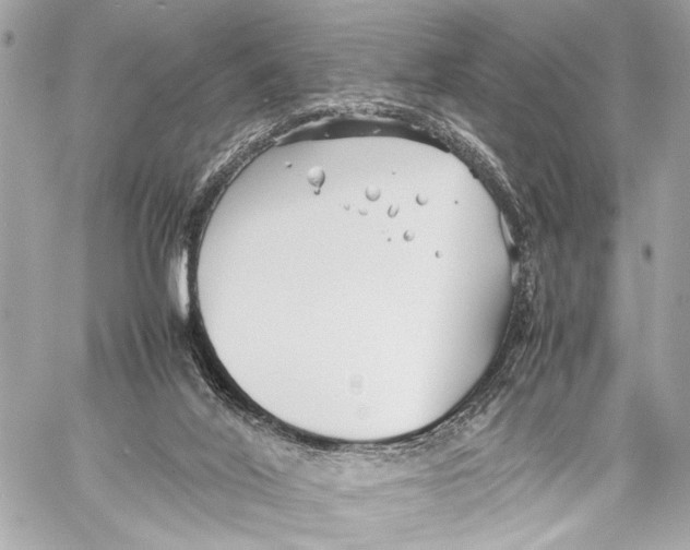 X0000057060020200510071418