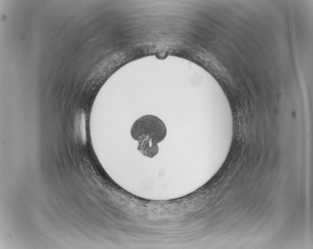 X0000057060022200510071418