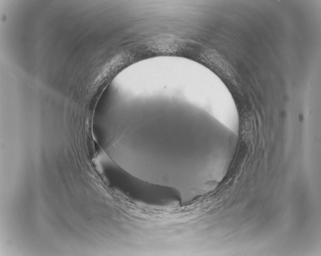 X0000057060023200510071418