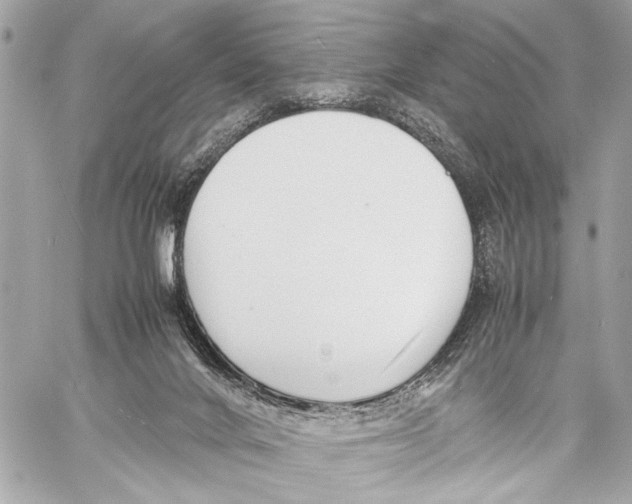 X0000057060024200510071418