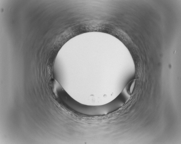 X0000057060025200510071418