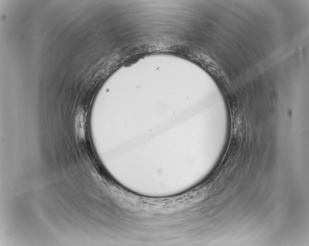 X0000057060026200510071418