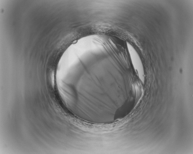 X0000057060027200510071418