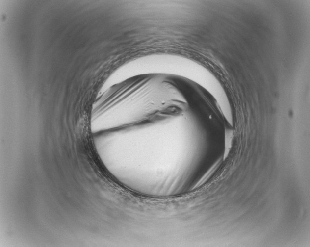 X0000057060029200510071418