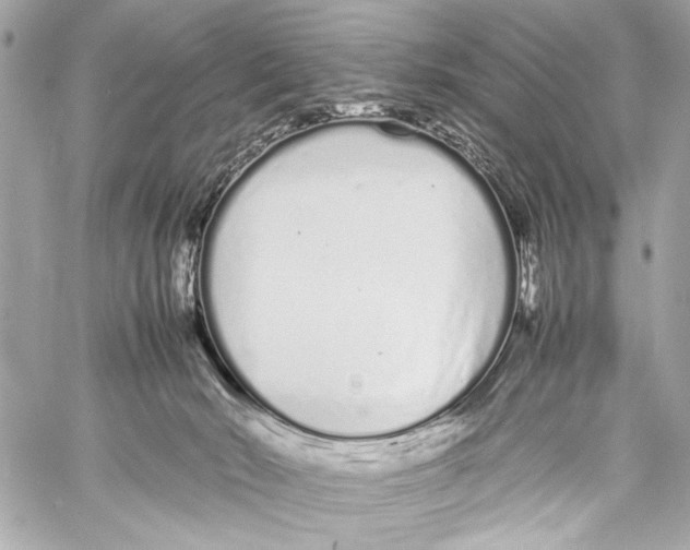 X0000057060030200510071418