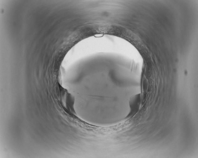 X0000057060031200510071418