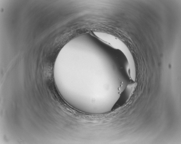 X0000057060033200510071418