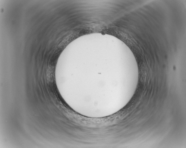 X0000057060034200510071418