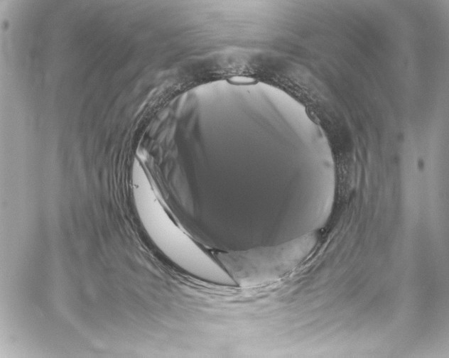 X0000057060035200510071418