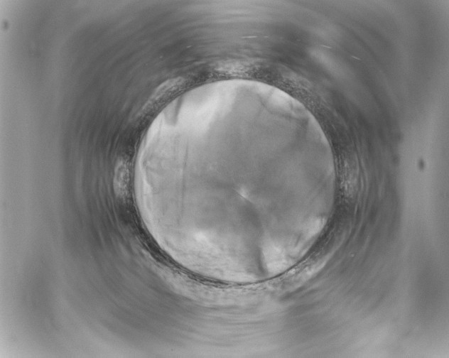 X0000057060036200510071418