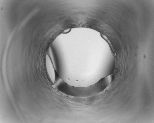 X0000057060037200510071418