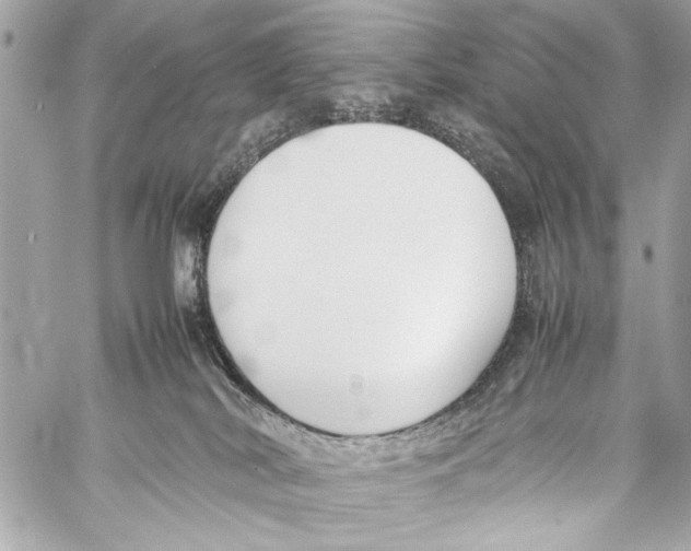 X0000057060038200510071418